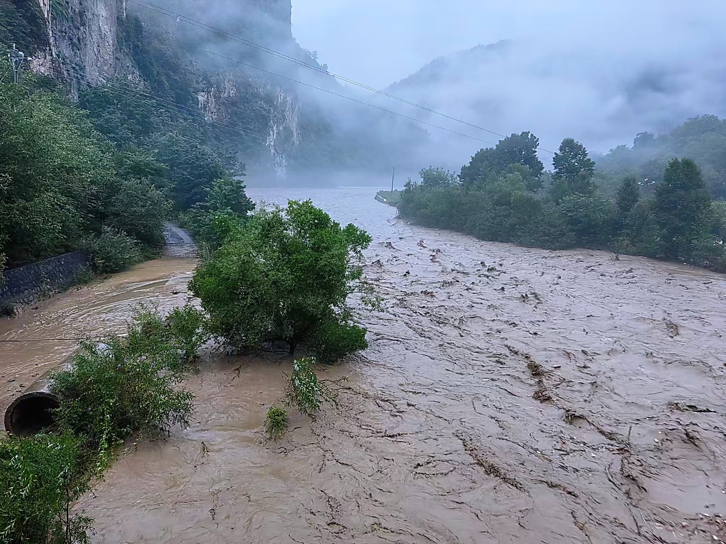 17213728875312270Wjj.jpg 微信圖片_20240719150530.jpg